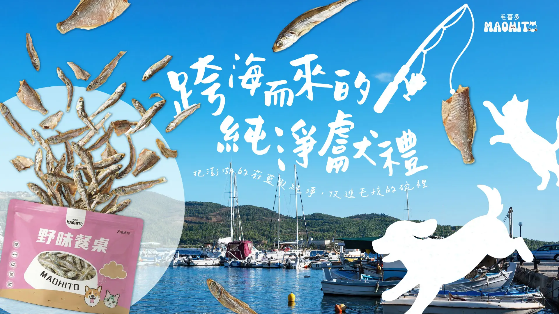 廣告2 1