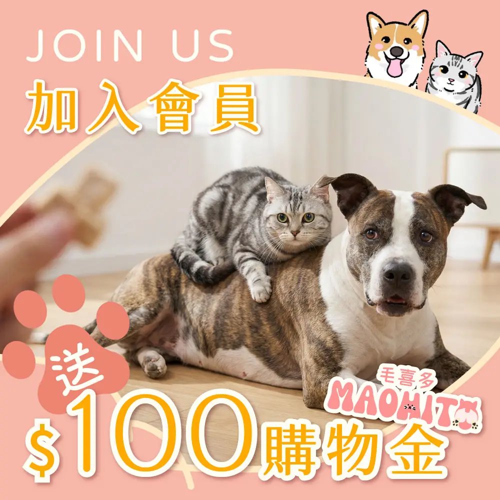 會員禮