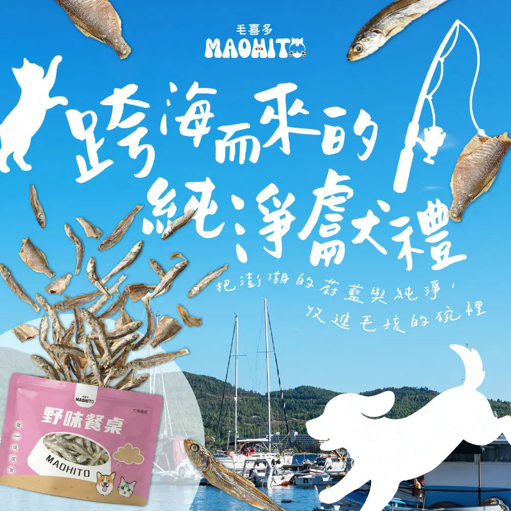 廣告2 2