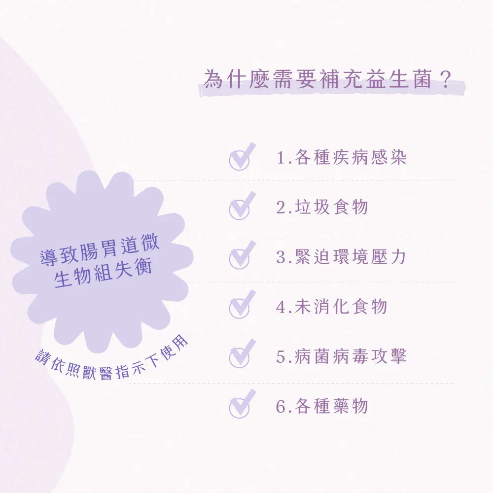 產品一頁式銷售頁 益生菌 4