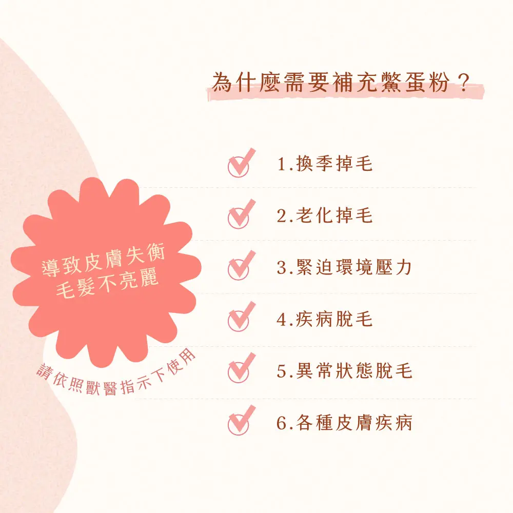 產品一頁式銷售頁 鱉蛋粉 4