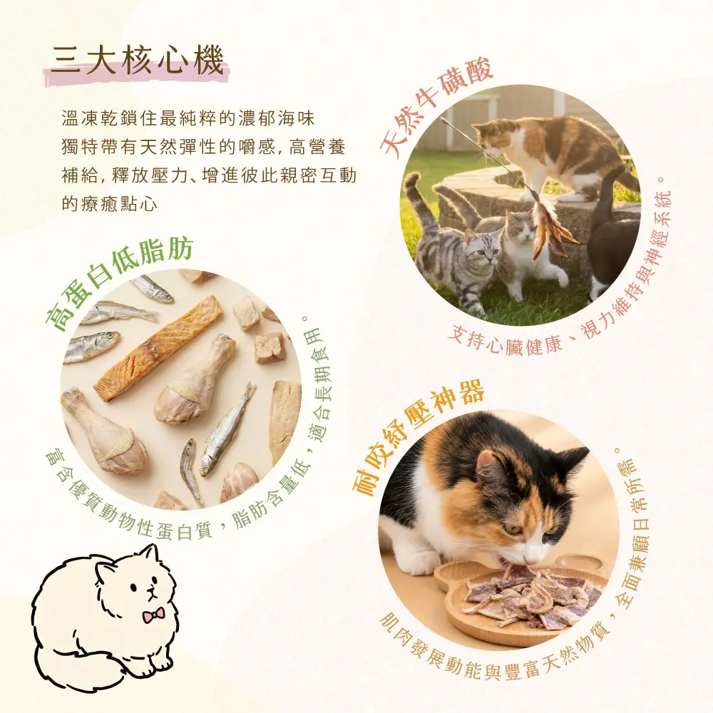 產品一頁式銷售頁 澎湖小卷凍乾 三大核心