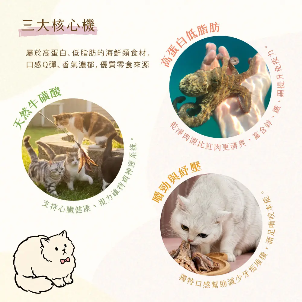 三大核心 石鮔凍乾 三大核心 石鮔凍乾