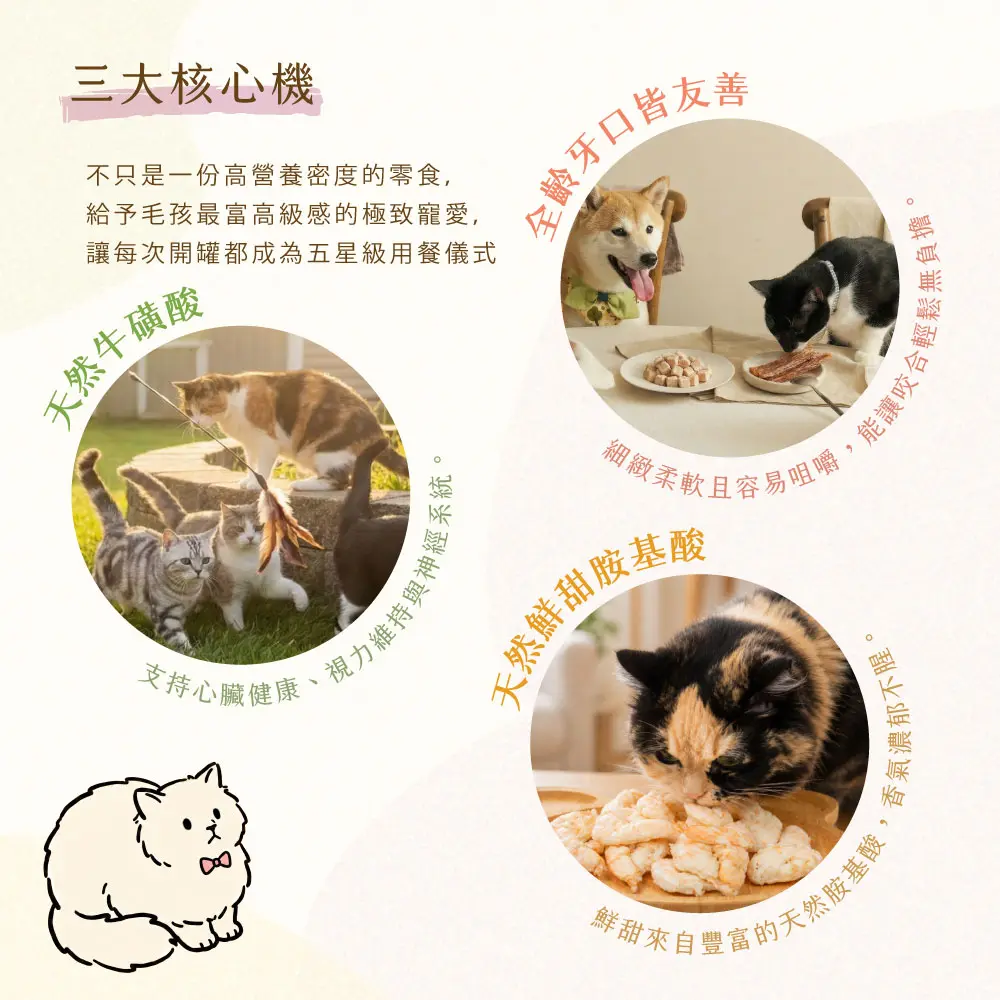 三大核心 干貝凍乾 三大核心 干貝凍乾