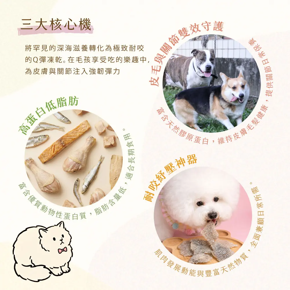 產品一頁式銷售頁 六斑刺河豚皮凍乾 三大核心