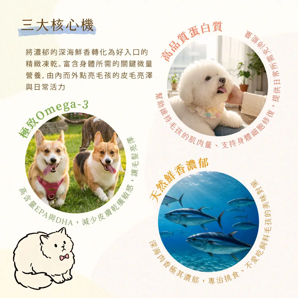 產品一頁式銷售頁 鮪魚丁凍乾 三大核心