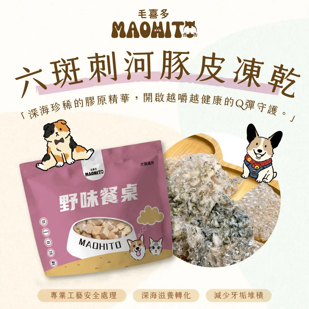 產品一頁式銷售頁 六斑刺河豚皮凍乾